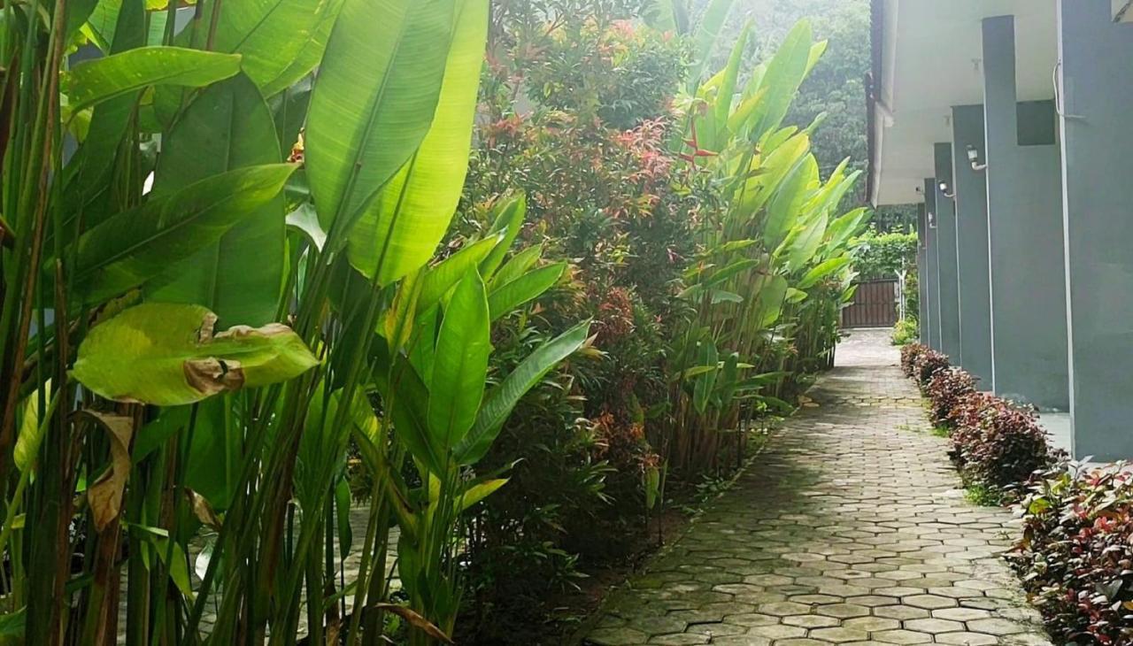 Oyo 2864 Mangsit Garden Homestay Экстерьер фото